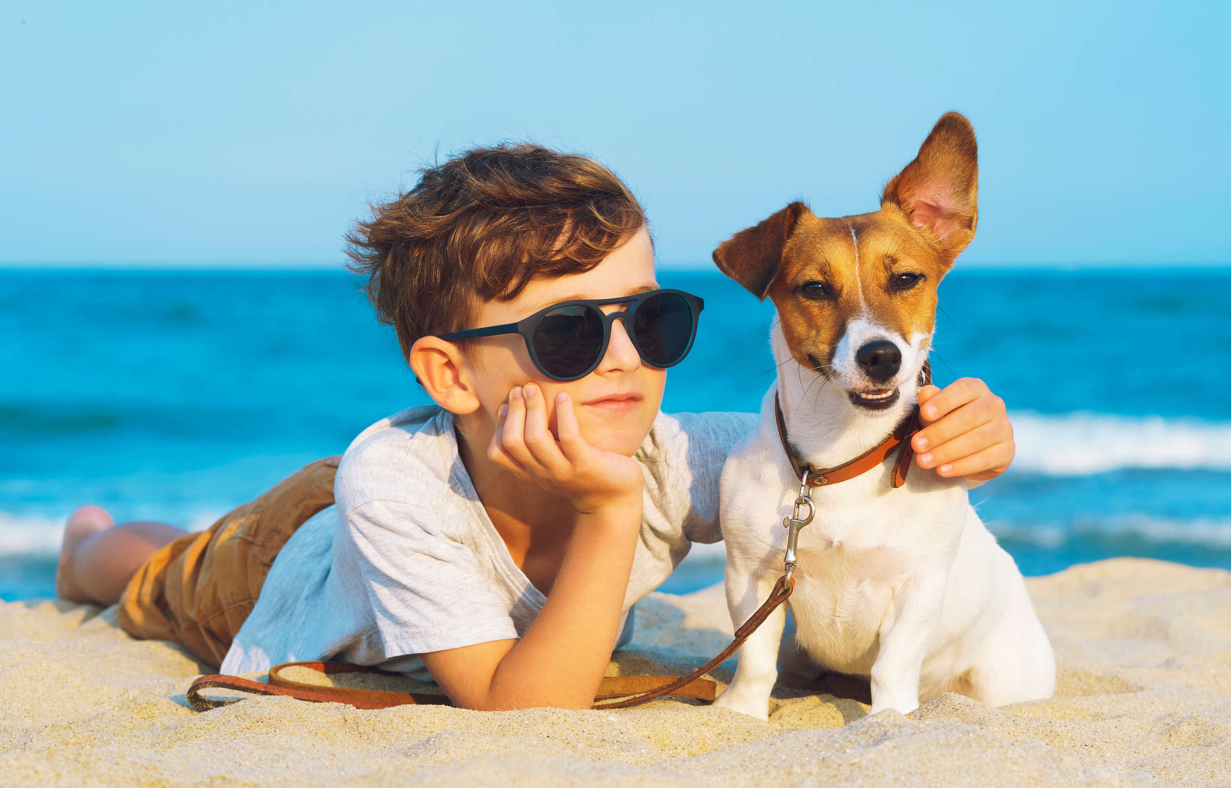 vacanza cane bambino