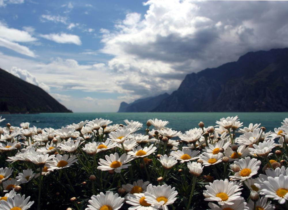 primavera lago garda